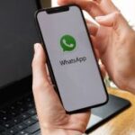 WhatsApp Business Download para PC