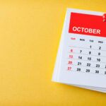 Atualizações Neofin – Novidades de Outubro 2024