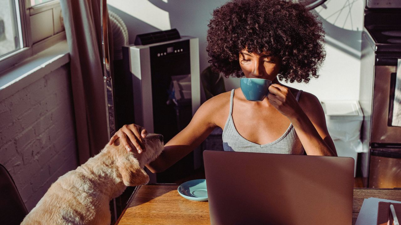 Como usar sua régua de cobrança para garantir entradas no final deste ano